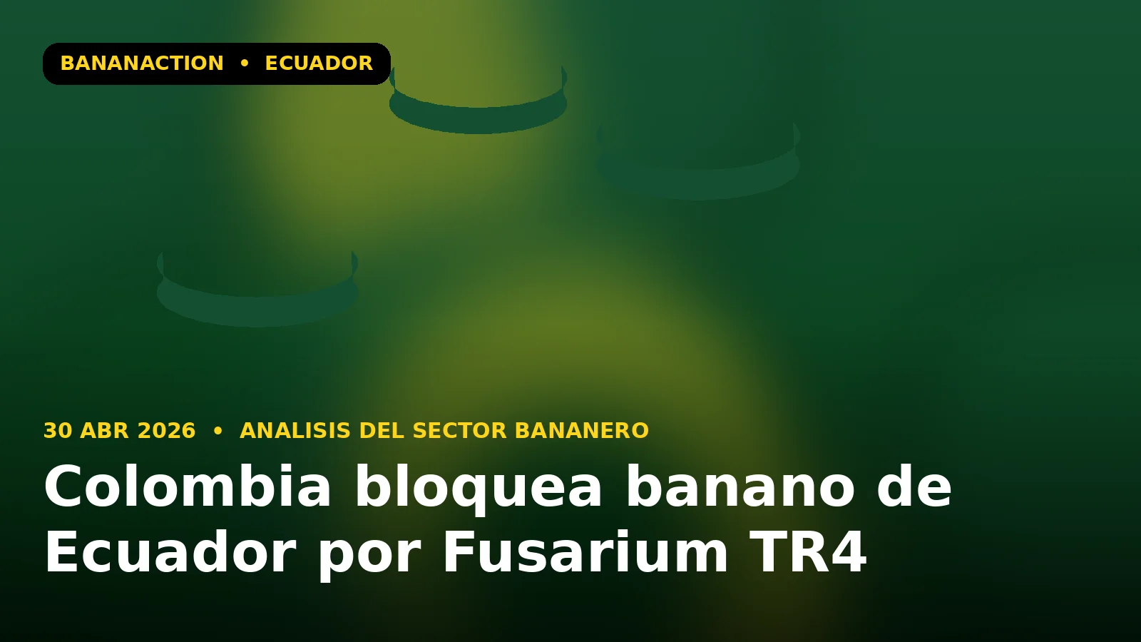 Inspector fitosanitario examina hojas de banano en finca ecuatoriana con dron sobrevolando