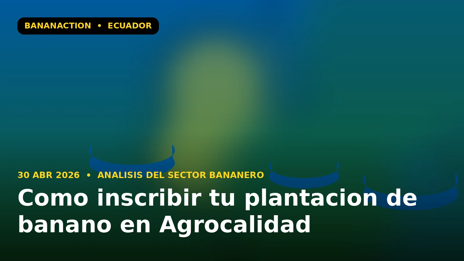 Productor bananero ecuatoriano con documentos de inscripcion junto a plantacion joven de Cavendish