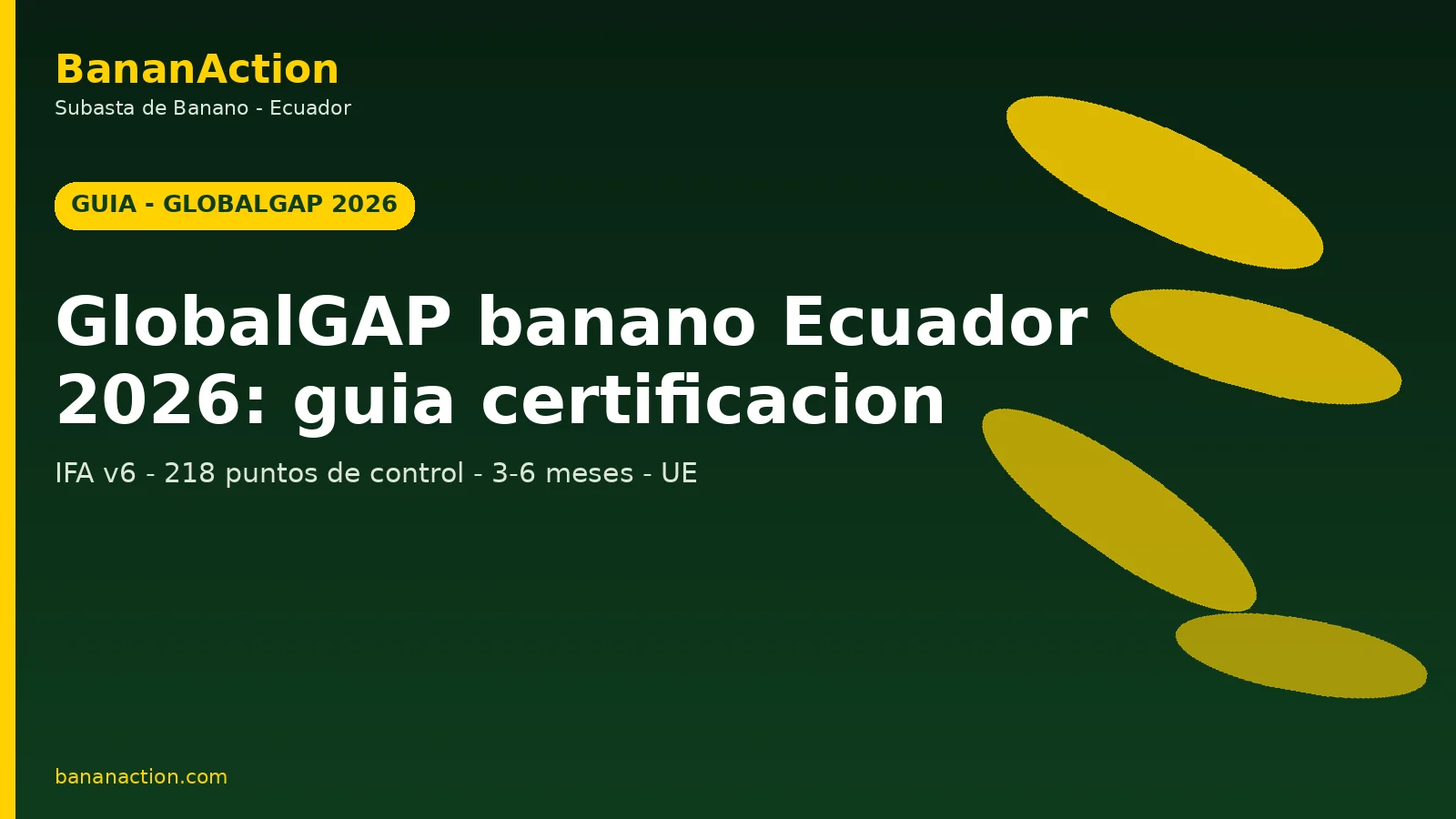 Tecnico inspeccionando finca bananera ecuatoriana certificada GlobalGAP con clipboard