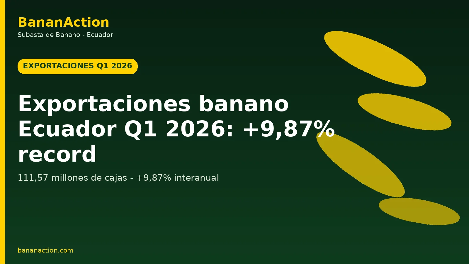 Puerto de exportacion de banano en Ecuador con cajas siendo cargadas a buque