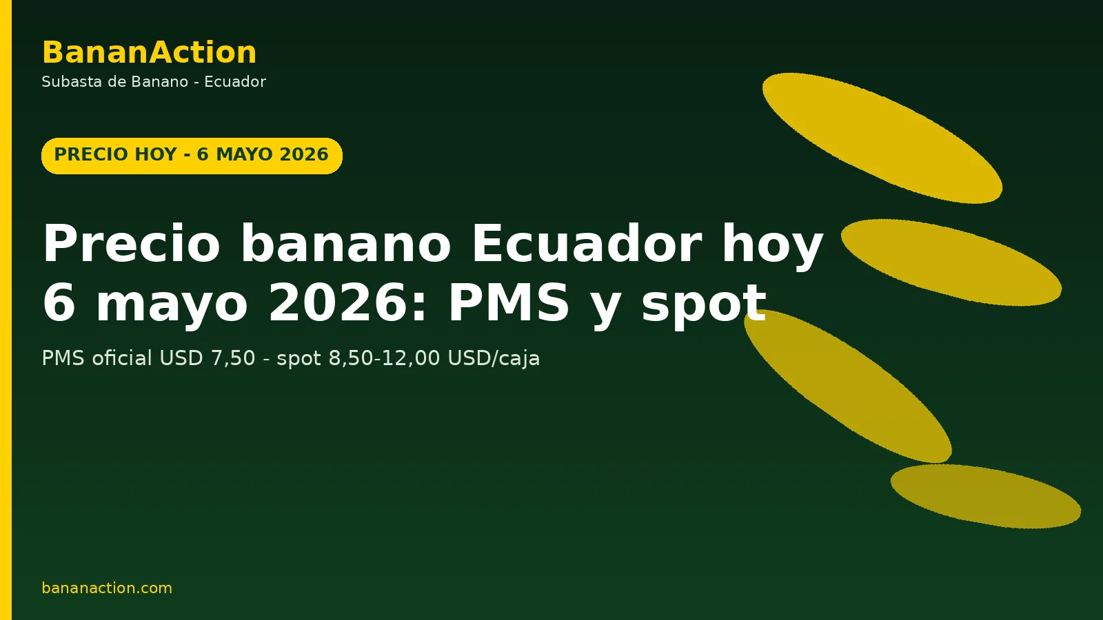 Racimo de banano Cavendish en finca ecuatoriana con pizarra de precios PMS 2026